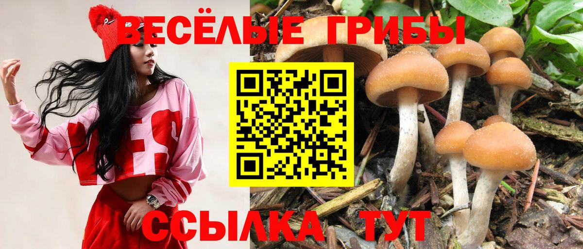 Вязьма  Галлюциногенные грибы Psilocybe  Галлюциногенные грибы Cubensis  Вход с VPN 